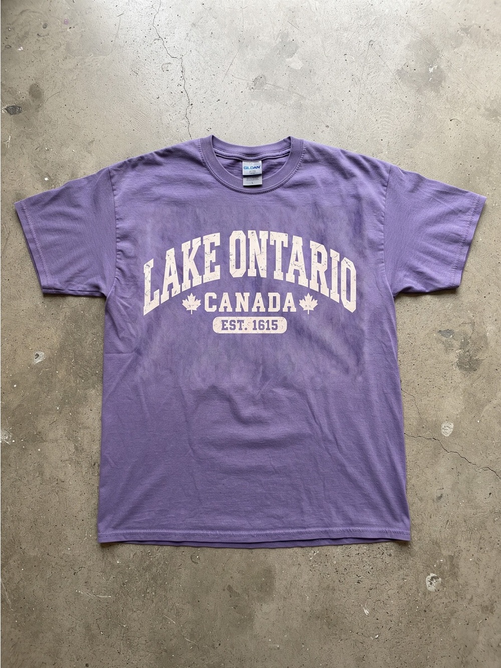 Lake Ontario Great Lakes Vintage Style Map Graphic T-shirt Canada New York
